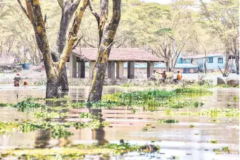  ??  ?? Local community members use lines to fish in flood waters after the rising waters of Lake Naivasha inundated the elevated woodland on part of it’s shores along with buildings and infrastruc­ture at the lakeside town of Naivasha, on the Kenyan Rift Valley.