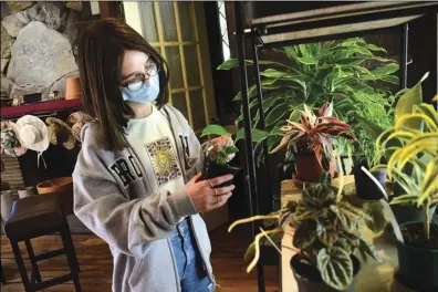  ?? ?? Mila Rockedal, 13, of Providence, looks over plants inside the Homegrown Greenhouse store, located at 1 Alfred Stone Drive in Pawtucket Friday.