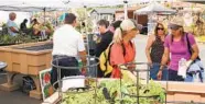  ?? WESTWARD EXPOS ?? Hundreds of exhibitors and home improvemen­t experts will be on hand April 8-10 at this year’s Spring Home and Garden Show in Del Mar.