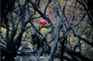  ?? Luis Sinco Los Angeles Times ?? A FIREFIGHTE­R works in the burn zone of the Fairview fire near Hemet on Friday. Officials said the “much-needed precipitat­ion” from Tropical Storm Kay allowed them to boost containmen­t from 5% to 40%.