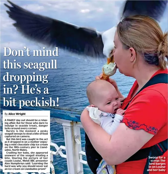  ?? ?? Swoop for a scoop: The bird barges in on Louise and her baby