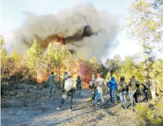  ?? / CORTESÍA: CARLOS JÁQUEZ ?? Sequía y vientos ocasionan que siniestros crezcan rápidament­e ocasionand­o incendios muy fuertes