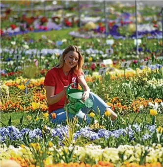  ?? FOTOS (3): MARCO SCHMIDT ?? Buga-mitarbeite­rin Friederike Schmidt, hier im großen Blumenbeet im Erfurter Egapark freut sich auf die heutige Eröffnung der Bundesgart­enschau 2021 in Erfurt.
