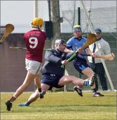  ??  ?? Harry O’Connor scoring one of his two goals for St. Martin’s in their runaway Pettitt’s SHC victory over St. Anne’s in New Ross.