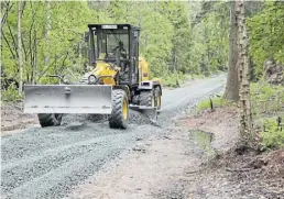  ?? BILD: Landesfors­ten/Rainer Städing ??