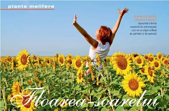 Floarea Soarelui Pressreader