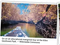  ?? — Wikimedia Commons ?? Go on an educationa­l mangrove tour at the Kilim Geoforest park.