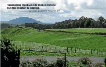  ?? PHOTOS: ANDREA FOX/STUFF ?? Tasmanian blackwoods look a picture but the market is limited.