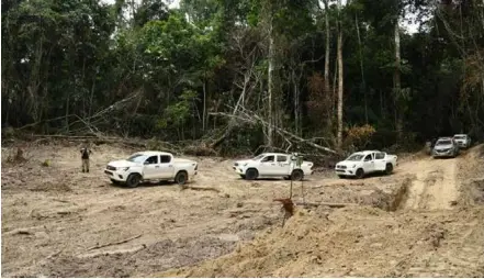  ?? AFP File Photo ?? Officials from Para State, northern Brazil, inspect a deforested area in the Amazon rain forest on September 22, 2021; a new report says Brazilian authoritie­s responded to only 3 per cent of deforestat­ion alerts between 2019 and 2022.