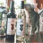  ?? SUBMITTED PHOTO ?? Pet Reserve Wines, made in Monroe, aims to help local animal shelters. The wine company was co-founded by Lauren Waite and Hunter Kottke. Kottke died before the first wine bottle was ever sold.