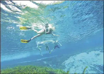  ?? PHOTOS BY STEPHEN M. DOWELL / ORLANDO SENTINEL ?? Snorkelers enjoy the cool water at Alexander Springs Recreation Area in Altoona, Fla., in northern Lake County.