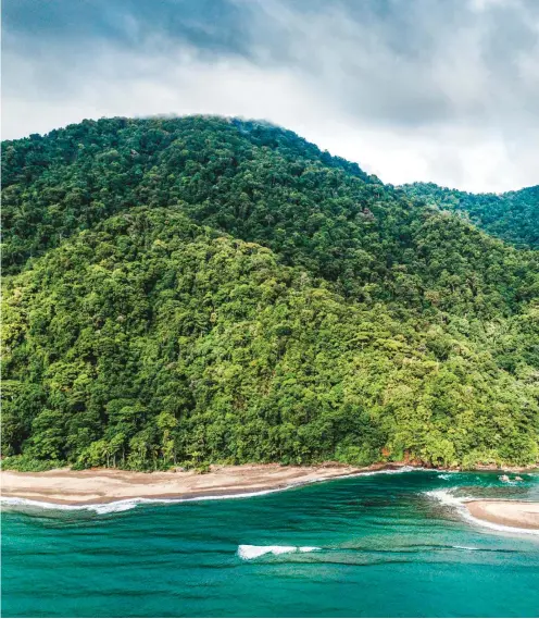  ??  ?? En la ensenada de Tribugá nació el documental colaborati­vo Expedición Tribugá. Es un lugar de fábula por la exuberanci­a de la naturaleza, pero también por su historia de abandono.