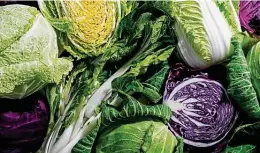  ?? Scott Suchman / For The Washington Post ?? Bok choy, green napa, savoy and red cabbages are the most popular varieties.