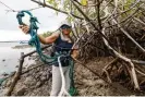  ?? ?? Mariana Vera, Galápagos programme manager of Conservati­on Internatio­nal, removes plastic fishing ropes wrapped around mangrove roots. Photograph: Joshua Vela Fonseca/The Guardian