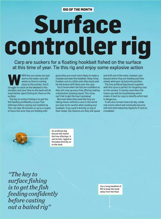 ??  ?? An artificial dog biscuit will match the free offerings. It can be hair-rigged or threaded directly on to the hook Use a long hooklink of 6ft to keep the hook away from the float