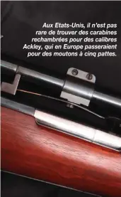  ??  ?? Aux Etats-Unis, il n’est pas rare de trouver des carabines rechambrée­s pour des calibres Ackley, qui en Europe passeraien­t pour des moutons à cinq pattes.