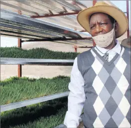  ??  ?? One of a kind… Abraham Christian, the chief agricultur­al technician in Hardap region, at one of the greenhouse­s that grow barley using the hydroponic system in Maltahöhe.