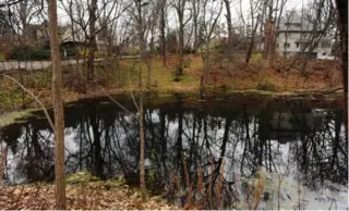  ?? JIM RANKIN/TORONTO STAR ?? The pond in Wychwood Park where Susan Glickman’s usually calm dog hinted something was amiss.