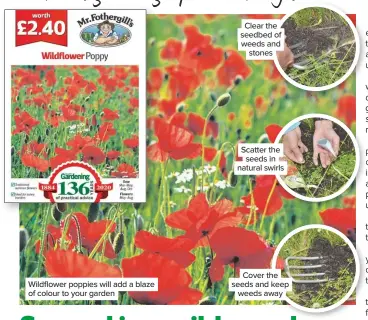  ??  ?? Wildflower poppies will add a blaze of colour to your garden
Clear the seedbed of weeds and stones
Scatter the seeds in natural swirls
Cover the seeds and keep weeds away