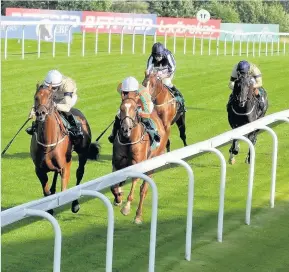  ??  ?? Hamilton Park Enjoy action at the final raceday of the season