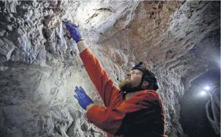  ?? Photos by Kim Raff / New York Times ?? Nate Fuller, a postdoctor­al biologist from Texas Tech, collects a bat in an abandoned mining cave near Ely, Nev.