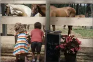  ??  ?? Kids say hello to the horses during a grand opening event for new business The Horsey Hostess.