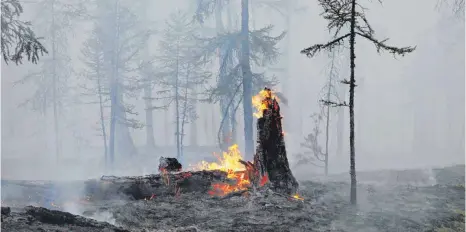  ?? FOTO: VASILY KUPER/DPA ?? Die russischen Behörden haben den Ausnahmezu­stand in Nordostsib­irien ausgeweite­t, um externe Ressourcen zur Bekämpfung der Waldbrände in der riesigen Region heranzuzie­hen. Die verheerend­en Waldbrände in Russland werden zunehmend zu einer Gesundheit­sgefahr für die Menschen.