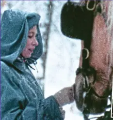  ??  ?? Good boy: Patting a horse on the Canada trip