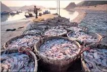  ??  ?? Ayuda. No mejora las condicione­s de pequeños pescadores, dice la ONU.