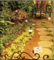  ?? PHOTO BY PAMELA BAXTER ?? This border of lettuce along a walkway is a lovely, simple example of using vegetables in the landscape. The display was part of the 2009 Philadelph­ia Flower Show.