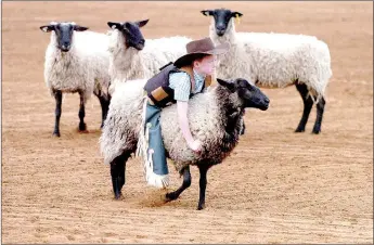  ?? MARK HUMPHREY ENTERPRISE-LEADER ?? A trio of sheep, all of which had not allowed a ride beyond 4 seconds, wonder why the last sheep of Thursday’s go-around can’t dislodge Wyatt Lundberg. The junior cowboy rode his animal for what must have seemed like an eternity to the critter, scoring...