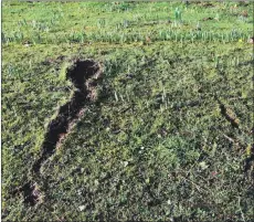  ??  ?? Grace Small inspects the damage to the embankment outside her house and, above, the scar left on the grass at the site suspected to have been struck by lightning.