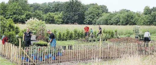  ?? BILD: privat ?? Im Azubi-Garten (von links): Sara Jäckel, Dunja Wessels, Marvin Mountain, Isa Kuhlmann, Tim Geers, Philip Peters