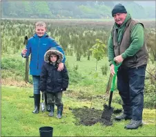  ?? ?? Lewis and James Adamson assisted Robert Strang to plant Carradale’s commemorat­ive tree.