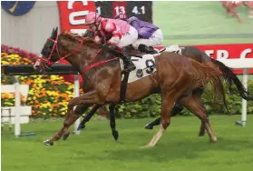  ?? Picture: HKJC ?? NAME SAYS IT ALL. Simply Brilliant holds off the challenge of What Else But You to win the Chevalier Cup at Sha Tin.