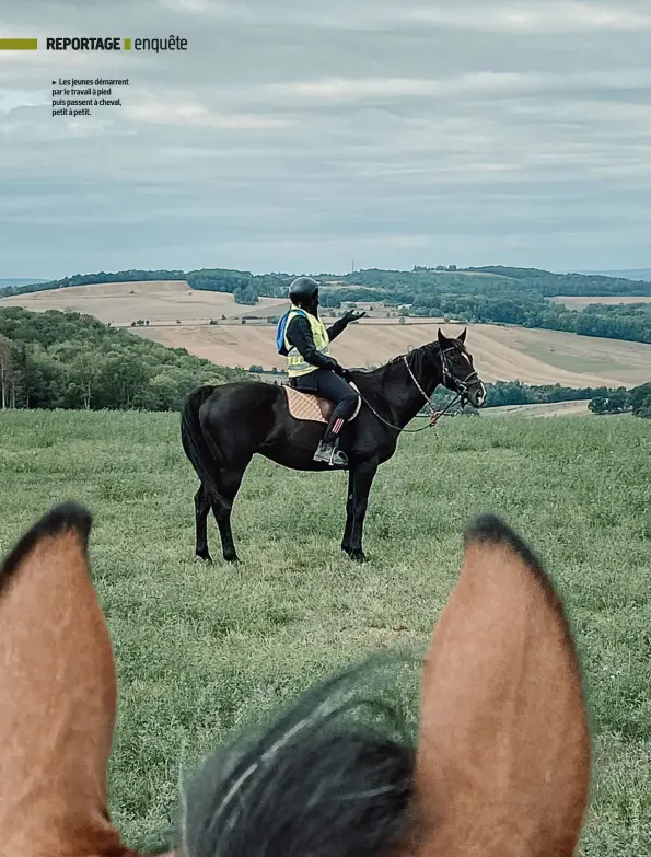  ??  ?? Les jeunes démarrent par le travail à pied puis passent à cheval, petit à petit.