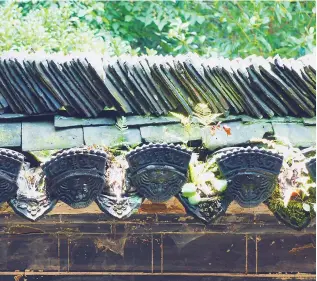  ??  ?? Xiaoqing tiles, or blue-roofing tiles, are widely seen atop old Huizhou-style houses in Renli and Longchuan villages.