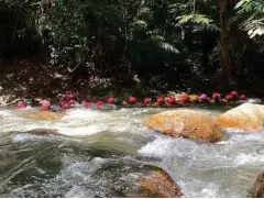  ?? ?? MENIKMATI arus sungai sebelum mengakhiri aktiviti berakit arus deras.