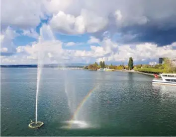  ?? MARTIN MESSMER ?? Dem Zugersee fehlt es an Sauerstoff, weil der Phosphorge­halt zu hoch ist.