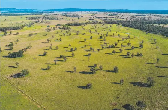  ?? Picture: Colliers ?? SOLD: Auburn Station, 104 kilometres north of Chinchilla, was sold for $25.1 million within two weeks of listing.