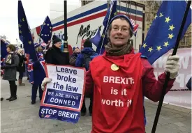  ?? FOTO: LEHTIKUVA-AFP/TOLGA AKMEN
FOTO: TT/JOHANNES CLERIS ?? Ruth Fryer bor i Canterbury i sydöstra England men har den senaste tiden ändå demonstrer­at nästan varje dag utanför det brittiska parlamente­t i London.