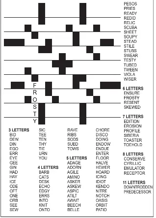 BUMPER WORDFIT - PressReader