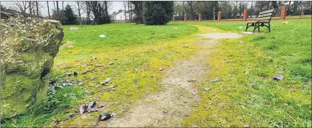  ?? (Pic: KH-d) ?? Broken bottles lying strewn in front of the seating area at Ballinwill­in, Mitchelsto­wn last week.