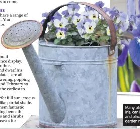  ??  ?? Many plants, such as pansies and Iris, can be planted in containers and placed in areas where the garden needs a little colour boost