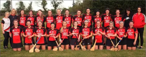  ??  ?? The triumphant Oulart-The Ballagh squad.