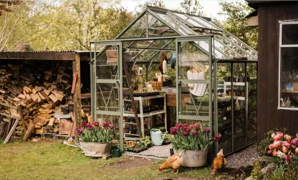  ?? ?? More than just a space to grow plants, Rhino greenhouse­s are built to last and proudly share many attributes with their namesake, such as strength and resilience