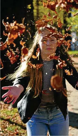  ??  ?? Auch in Rudolstadt entledigen sich die Bäume so langsam ihres Laubbestan­des. Das heißt für die Bürger, sie müssen wieder selbst anpacken, um die Blätter los zu werden.Foto: Martin Hauswald