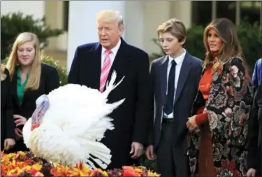  ?? MANUEL BALCE CENETA — THE ASSOCIATED PRESS ?? President Donald Trump with first lady Melania Trump, right, and their son Barron Trump, look at National Thanksgivi­ng Turkey Drumstick after being pardoned by President Trump during a ceremony in the Rose Garden of the White House.
