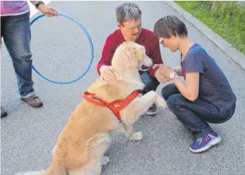  ?? FOTO: STIFTUNG LIEBENAU ?? Gib Pfötchen: Keine Berührungs­ängste hatten die Fortbildun­gsteilnehm­er des Arbeitsint­egrationsp­rojektes (AIP) der Liebenau Teilhabe mit den Therapiehu­nden des Vereins „Sympathieh­unde“.