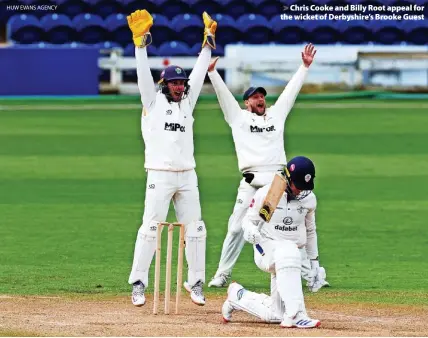  ?? HUW EVANS AGENCY ?? > Chris Cooke and Billy Root appeal for the wicket of Derbyshire’s Brooke Guest